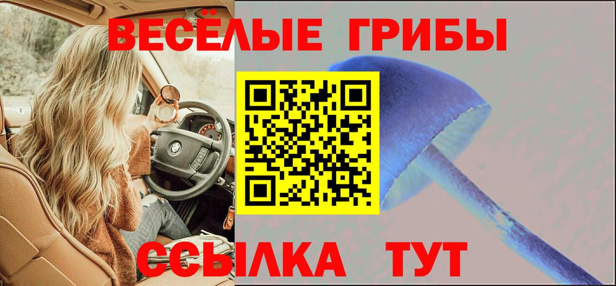 Псилоцибиновые грибы прущие грибы  Вход с VPN  Шелехов  Галлюциногенные грибы GOLDEN TEACHER 